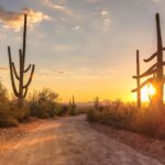🚗 Best Cars for Driving in Arizona, USA (2026 Guide) 4 w7rroSjhl0Zg Vn9oaXCjXY2wxn0CoeAF2dQxLEEfof5uTBYmW Mr3XZX0COfUsdWCfp8C1idF2xMIMIKy2E4SdEHODt5cm868UG4juWHVIQ8ztLbxSoHLgSIXDC 49b0rIzsgeM2WvyhsZq5fGV84Dwd18SBDSe9hqzT7YBKBIJfAOrnI ZrlI869JMrbvo